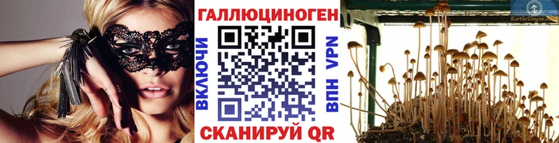 Галлюциногенные грибы ЛСД  KRAKEN ССЫЛКА  Наволоки 